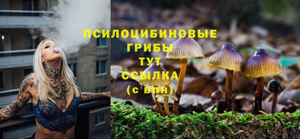 меф Елизово
