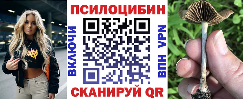 цены   Одинцово  Галлюциногенные грибы Psilocybine cubensis 